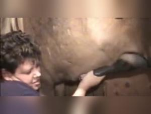 Bestial Video: Forbidden Ecstasy