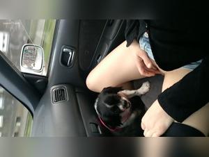 Vidéo de sexe extrême avec un chien