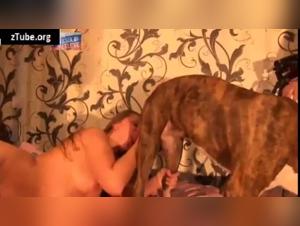 An extreme zoophilic experience with Sylvia