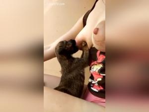 Video of extreme zoophilia with a woman and her dog