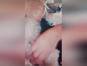 Dog Sex Video: An Amateur Experience Not To Be Missed