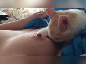 Explore the limits of ecstasy with a kitten