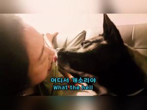 Shocking and exciting bestiality sex video