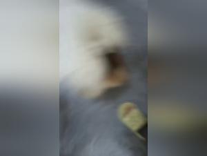 Discover Our 200 Authentic Videos - Contact qq1587477806