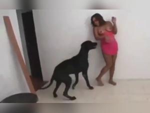 Extreme sex video with a Latina and her black dog