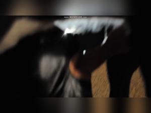 Check out this bestiality sex scene with a dog