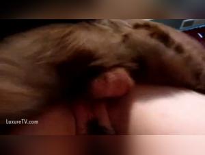 Powerful knot, wild kisses with dog