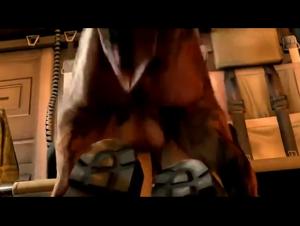 Experience the Thrill of Dog Sex