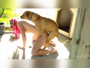 Schauen Sie sich dieses Hundesexvideo an und entdecken Sie die Welt der Zoophilie