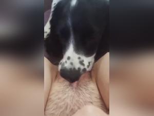 Submission and canine pleasure