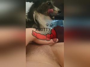 La puttana lascia il cane fare puttano con sua ascelle