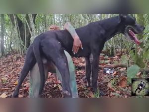 The fuck slut takes the dog in her arms and licks him