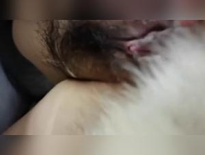 Explore the world of zoophilia