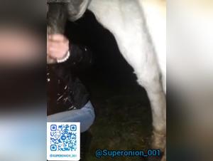 Tierische Erkundung ohne Grenzen