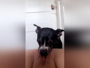 A XXX Video That Will Leave You Speechless About the Dog and Woman's Kisses