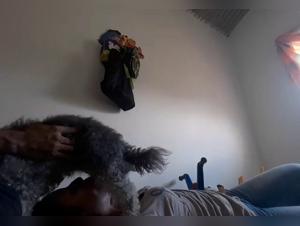 Extreme bestiality video: submission and pleasure