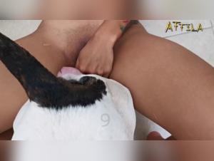 versaute Beurette fickt mit ihrem Hund kostenlose Pornovideos xxx