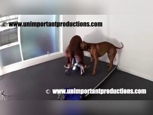 Brutales Verlangen, Madchen und Hunde