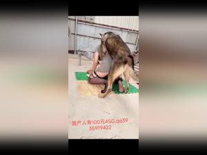 Schlampen und ihr Hund: explizite chinesische Orgien