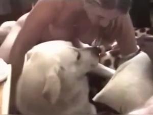 Bestial and Exciting Video