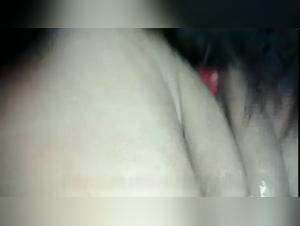 free beastiality videos