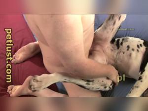 Extreme sex experience with a dog