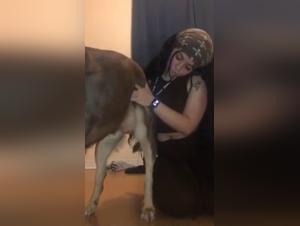 troie, cani e impulsi sfrenati