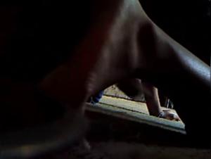 dog sex duration: how long does it take?