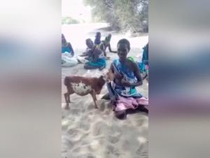 Extreme Zoophilia Scene with a Lamb