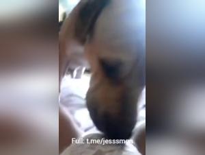 Dog sex video: a mature woman and her canine companion