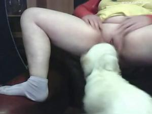 Creampie und Sperma im Hals: Katzendemutigung ohne Grenzen