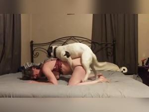 Falsche Reinheit, echtes Verlangen: Fick mit Hunden