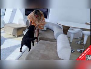 Unveiling the Truth: Girls & Dogs