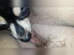 A Bestial and Intense Encounter between a Black Woman and a Dog