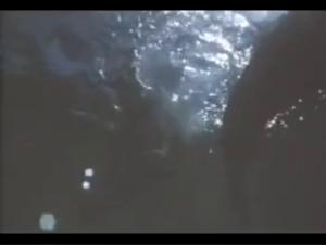 Nature's Symbiosis, Unexpectedly