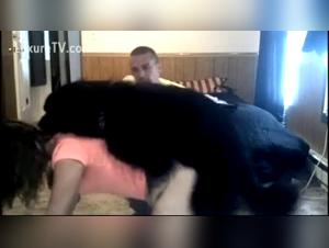 Hard and extreme zoophilia scenes