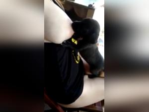 Bestial and Shocking Video