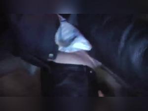La cagna e il suo cane: un tango bestiale in due parti