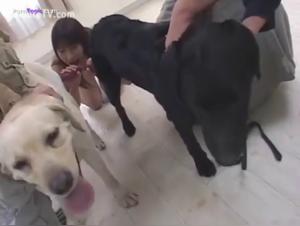 Zoophilia scene with an Asian