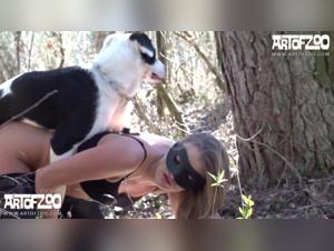 breaking boundaries: zoo taboo explored