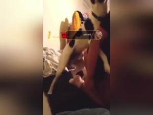 Une salope amoureuse du sex animal