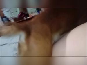 Unveil the Obscene Delights: Dog vs. Woman in an Orgy of Power
