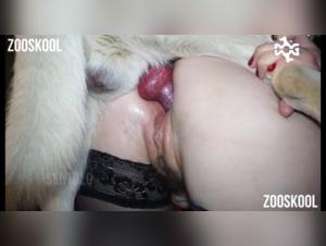 Extreme sex video with an animal