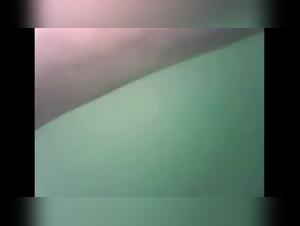 zooxhamster and dogxxx