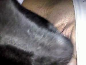 Erleben Sie das Extreme: Hund und Frau in einem verbotenen Orgasmus