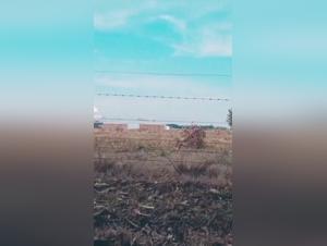 Shocking moments in this production Dog sex videos