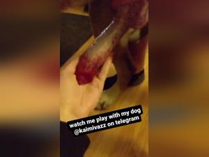 k9 content and porn videos