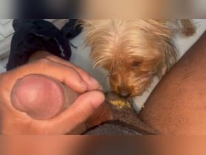 A unique bestiality experience with Macy Love