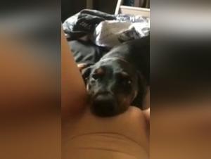 Intense bestiality scene with a dog