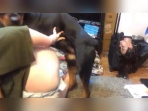 Extreme Dog Sex Video: Watch This BBW in Action